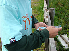 090320green2.jpg