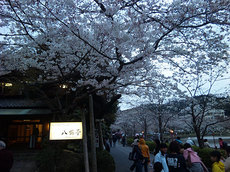 090409hakkaku-cb.jpg