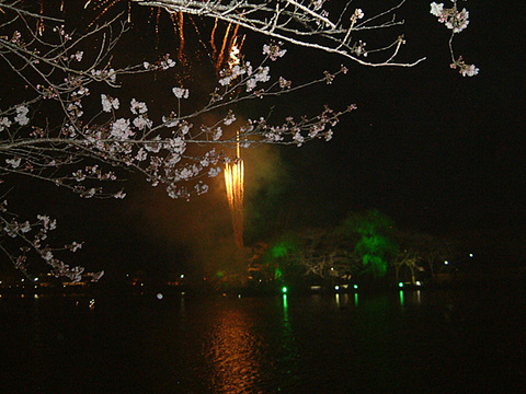 090409hakkaku1.jpg