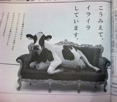 090630np-milk.jpg
