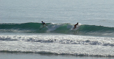 090808oakley2.jpg