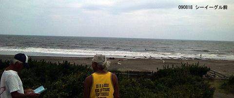 090818eagle.jpg