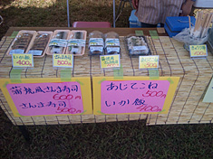 090828nsa-shima.jpg