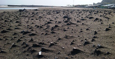 090901beachsand.jpg