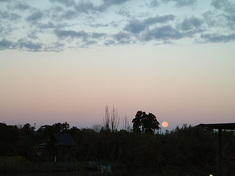 091103morning.jpg