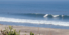 091109am-eagle.jpg