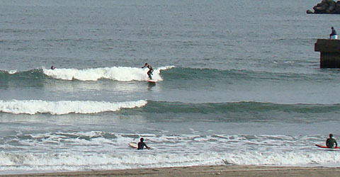 100104kosaka.jpg