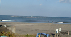 100105taito-bird.jpg