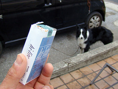 100131-smorkdog.jpg