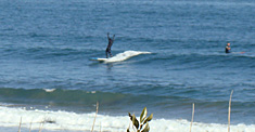100208-am-banzai.jpg
