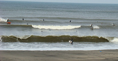 100301pm-l-ta.jpg
