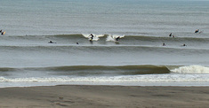 100301pm-l.r-ta.jpg