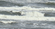100308tomo-wave2.jpg