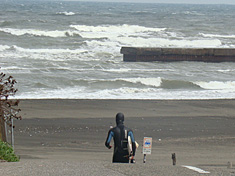 100308tomo4.jpg