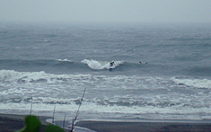 100526nsa-comp-renshu.jpg