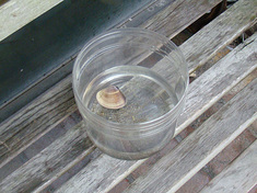 100618shell.jpg