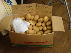 100703shop-poteto.jpg