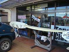 1008summer2-wax-shade1.jpg