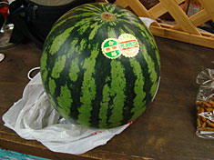 100923summer2-10watermelon.jpg