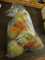 100923summer2-15nashi-2.jpg