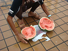 100923summer2-15w-melon.2.jpg
