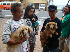 101003dogs.jpg
