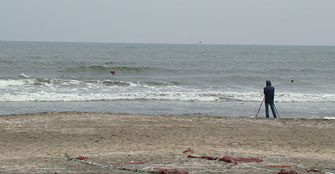 101017suc-photo.jpg