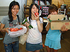 10711vege1.jpg