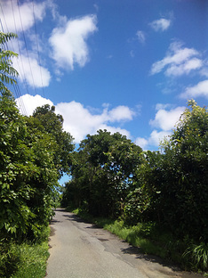 10714scenery-4.jpg