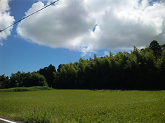 10misaki-view1.jpg
