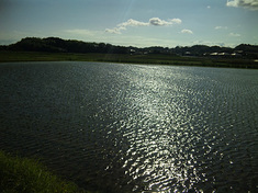 10misaki-view7.jpg