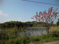 10spring-seki.jpg