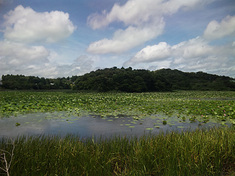 10summer-seki1.jpg