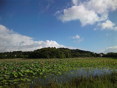 10summer-seki2.jpg