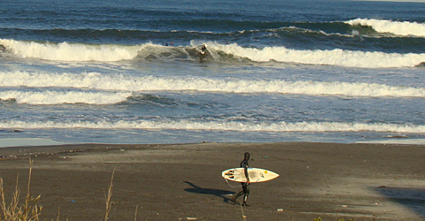 110119wave-a-t.jpg