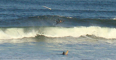 110119wave-ou2.jpg