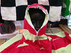 110228poncho-zip1.jpg