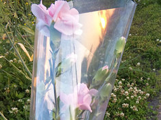 110508mother'sday.jpg