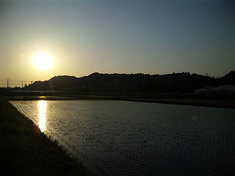 110508sunset.jpg
