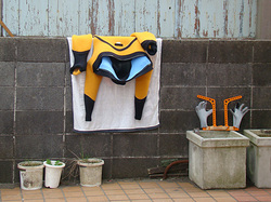 111117dry-2.jpg
