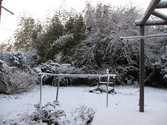 120124-view-snow.jpg