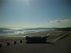 2011wada-sun.jpg