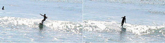 090305maruki-2-2.jpg