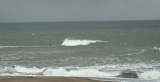 090326windy.jpg