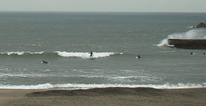 090326windy2.jpg
