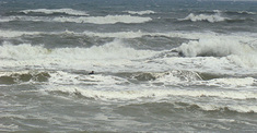 100308tomo-wave1.jpg