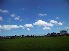 10714scenery-1.jpg