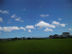 10misaki-view2.jpg