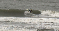 exibijon-n1.jpg