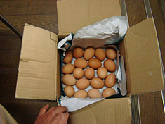 kazuo-egg.jpg